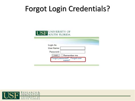 usf fcu login forgot username